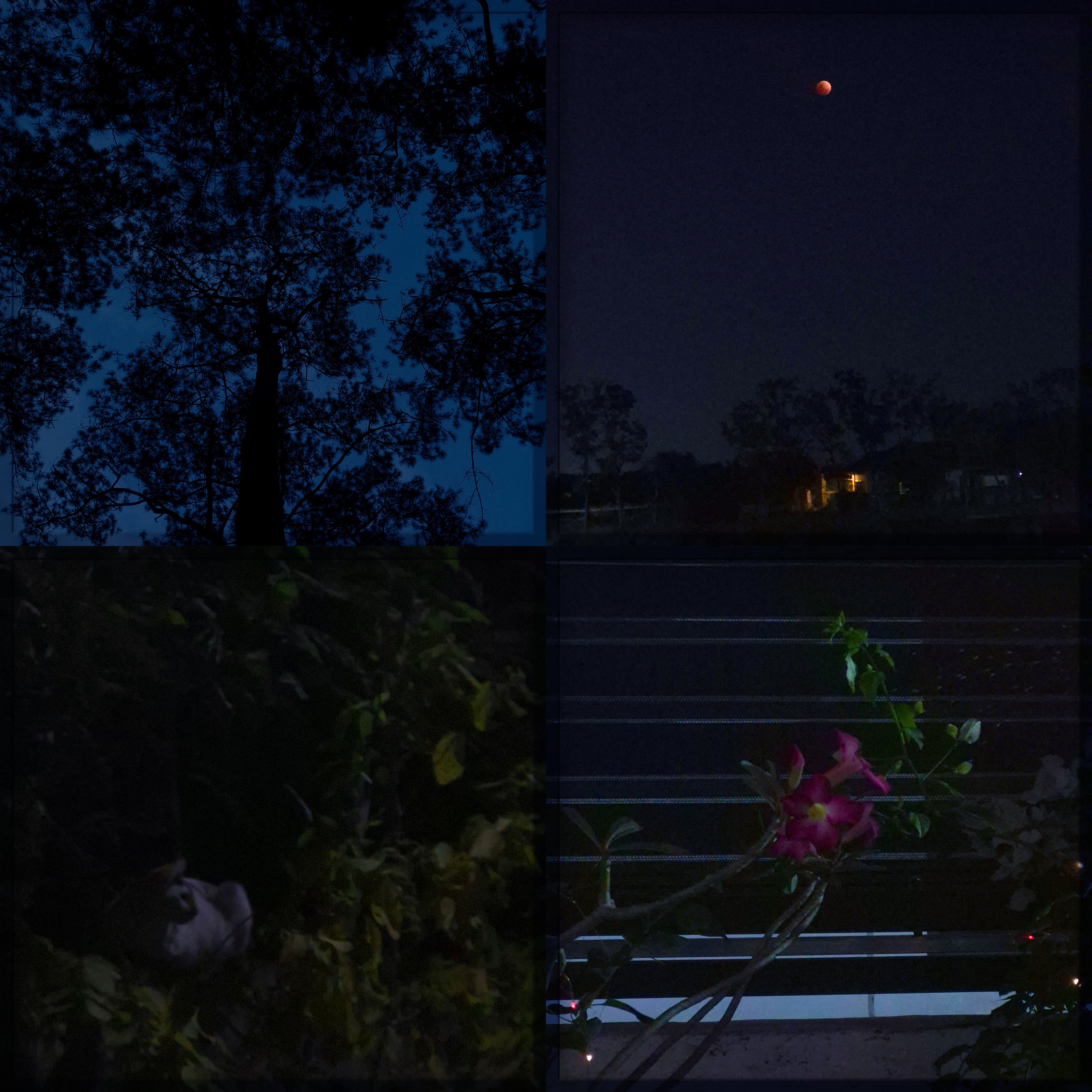 Night collage